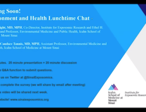 Sinai Environment and Health Lunchtime Chat Series 2021 Archive